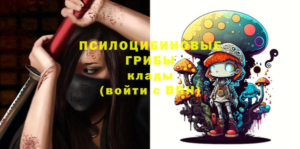 МДПВ Белокуриха