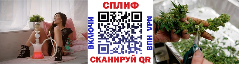 купить   Приволжский  mega онион  Шишки марихуана марихуана 